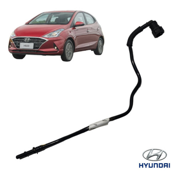 Mangueira Filtro Canister Hyundai Hb20 1.0 3cc 2020 A 2022