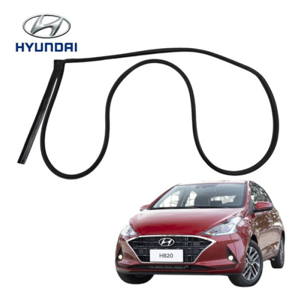 Borracha Porta Traseira Direita Hyundai Hb20 2020 A 2022  Preto
