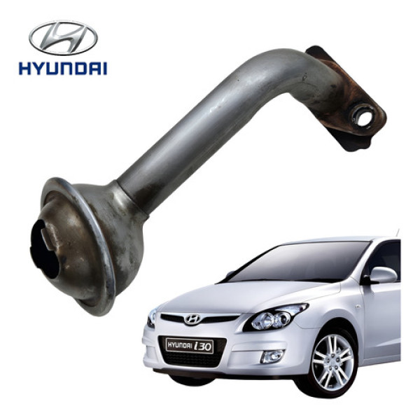 Pescador Óleo Motor Hyundai I30 2.0 2009 A 2013 Original Cinza