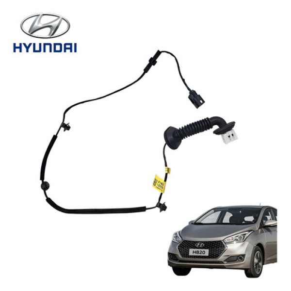 Chicote Porta Dianteira Esquerda Hyundai Hb20 Comfort 2019