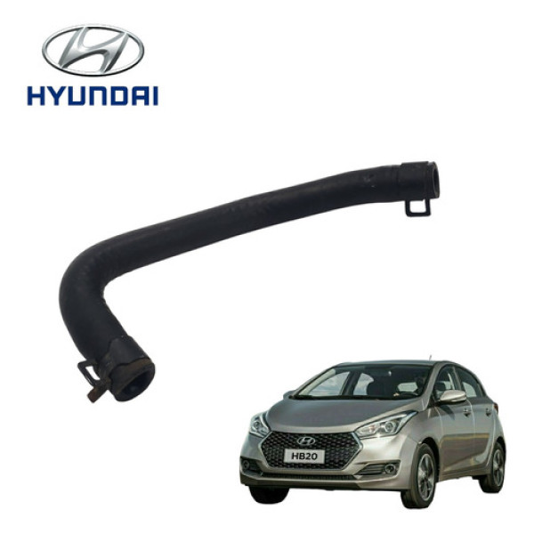 Mangueira Do Cavalete Hyundai Hb20 1.6 2013 A 2015 Original 