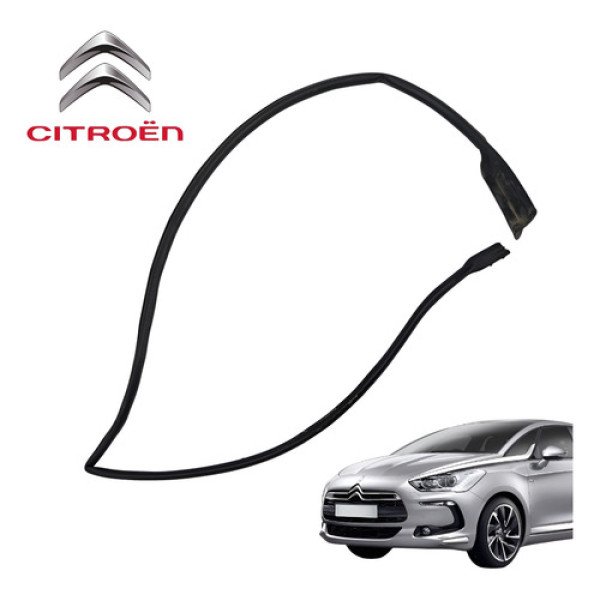 Borracha Porta Dianteira Esquerda Citroën Ds5 1.6 Thp 2014 Preto