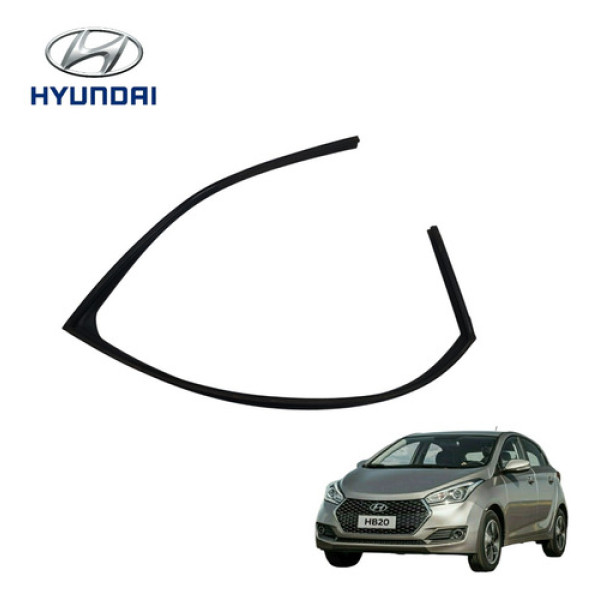 Borracha Canaleta Vidro Traseiro Direito Hyundai Hb20 2013 Preta