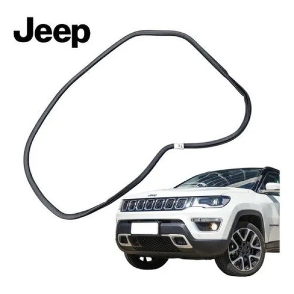 Borracha Porta Traseira Esquerda Jeep Compass 2018 Original Preto