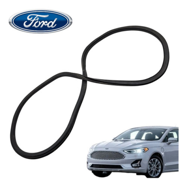 Borracha Porta Traseira Direita Fixa Ford Fusion 2013 A 2016 Preto