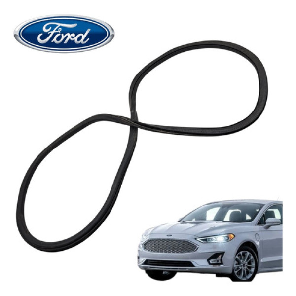 Borracha Porta Dianteira Direita Ford Fusion Titanium 2015 Preto