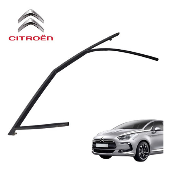 Borracha Canaleta Dianteira Esquerda Citroën Ds5 Thp 2015 Preto