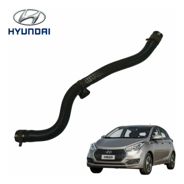 Mangueira Do Filtro Canister Hyundai Hb20 1.6 2013 2015 Orig