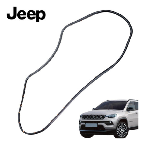 Borracha Vedação Porta Traseira Esquerda Jeep Compass 2022 Preto