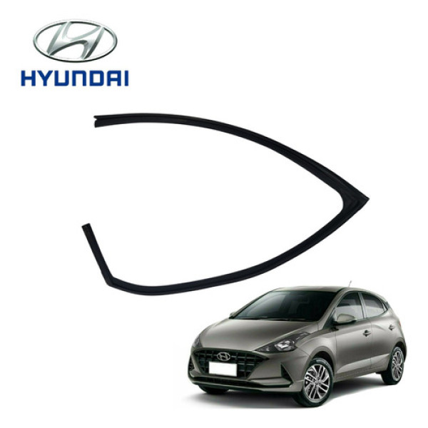 Borracha Canaleta Vidro Traseiro Esquerdo Hb20 Tgdi 2022 