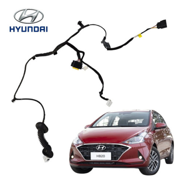 Chicote Porta Traseira Direita Hyundai Hb20 2020 A 2022 Orig
