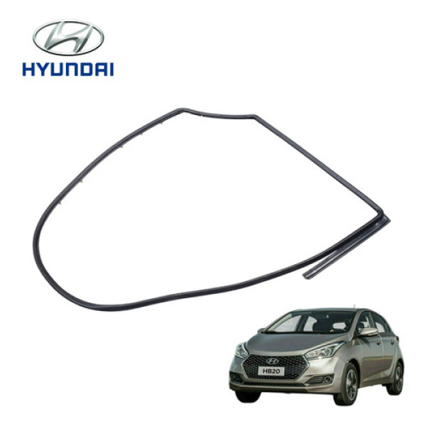 Borracha Da Porta Traseira Esquerda Hyundai Hb20s 2015 2019 Preto