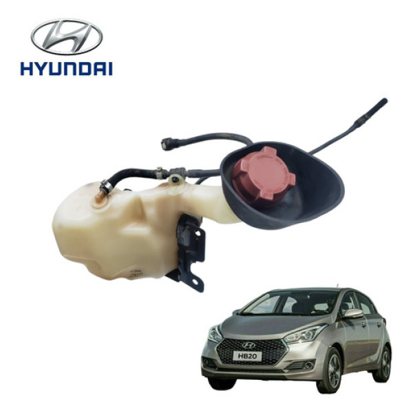 Reservatório Gasolina Hyundai Hb20 1.6 2013 A 2015 Original 