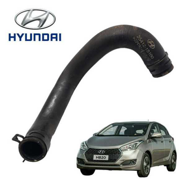 Mangueira Radiador Inferior Hyundai Hb20 1.6  2010 A 2019
