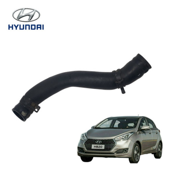 Mangueira Superior Radiador Hyundai Hb20 2013 A 2015 Origina