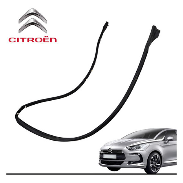 Borracha Porta Dianteira Esquerda Citroën Ds5 1.6 Thp 2015 - Preto